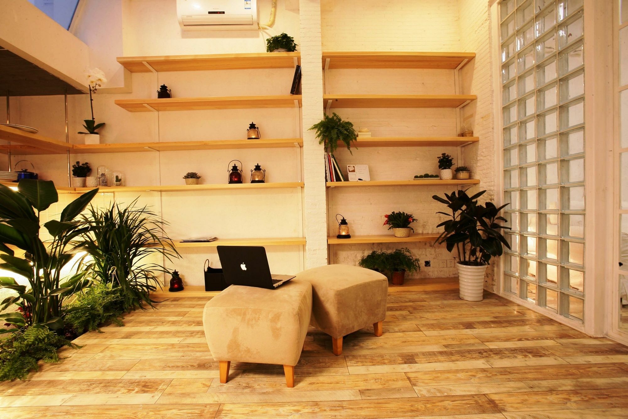 Wonderland French Concession - Xintiandi * Shanghai